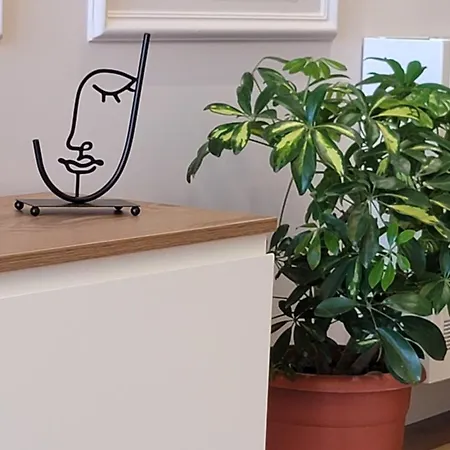 Comfort Апартаменты *